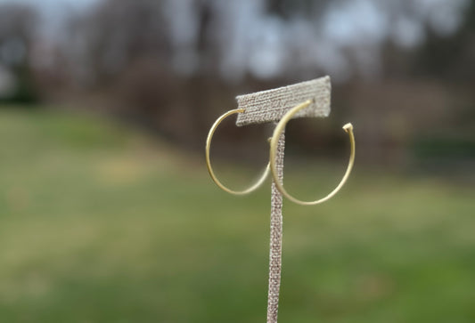 Brushed Gold hoop